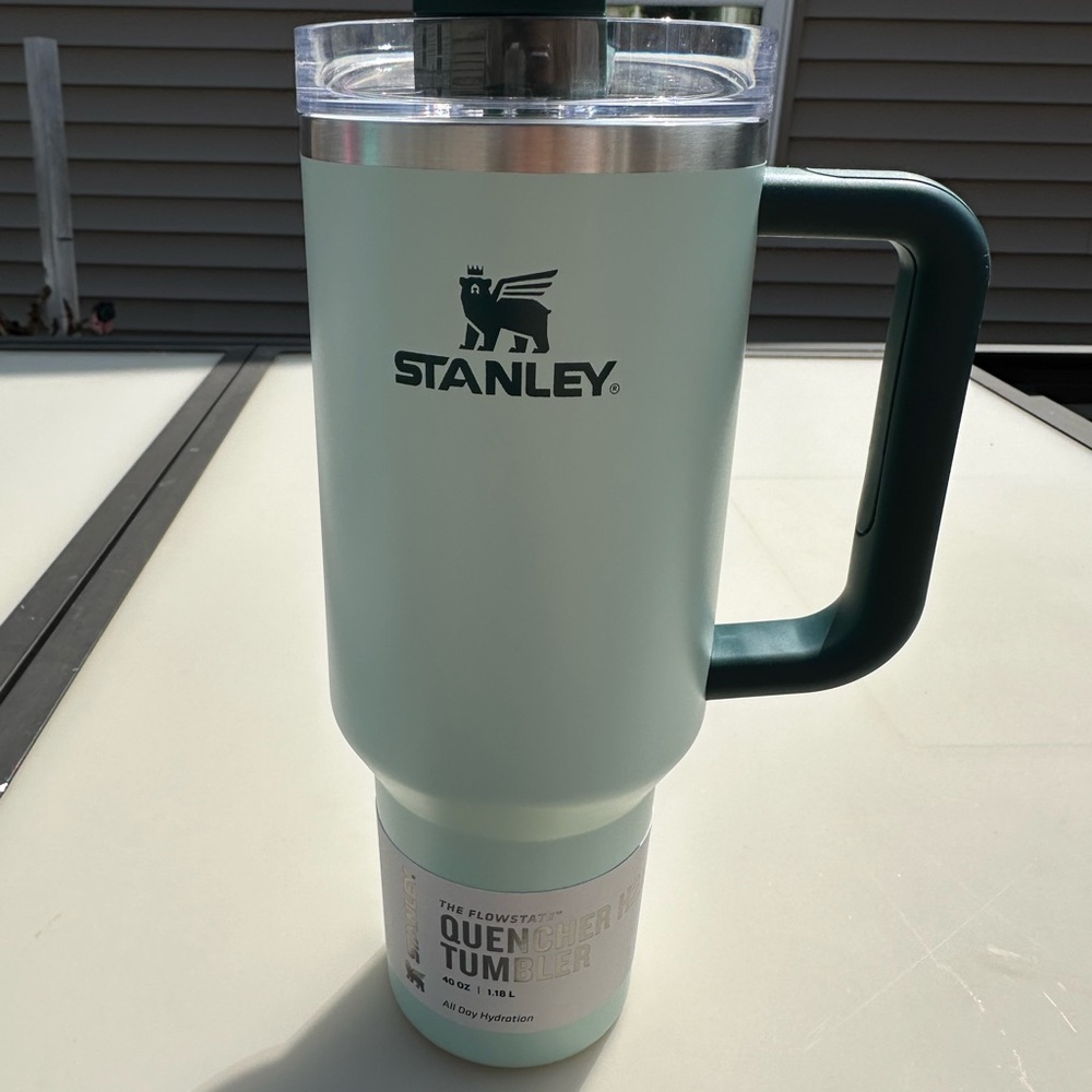 Stanley Quencher Tumbler in Mint Green